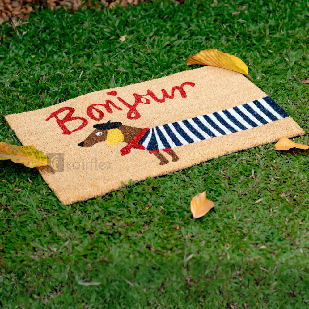 PVC Backed Printed Coir Mat